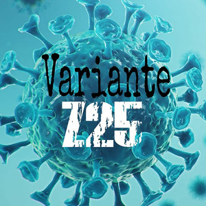 Variante Z25 (Explicit)