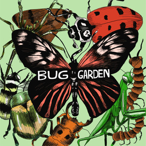 Bug Garden