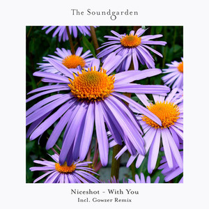 With You (Gowzer Extended Remix)