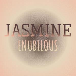 Noctambulation Puddles