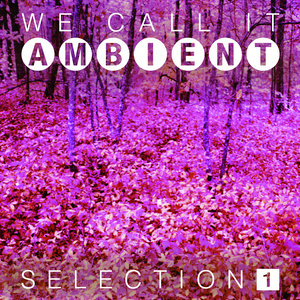 We Call It Ambient Vol. 1