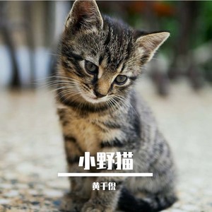 小野貓