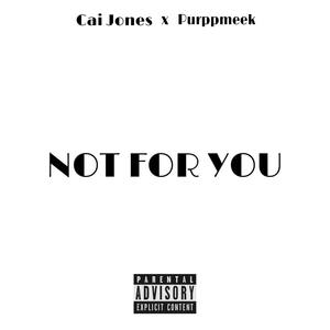 Not For You (Explicit)