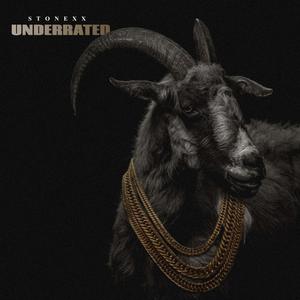 Underrated (Explicit)