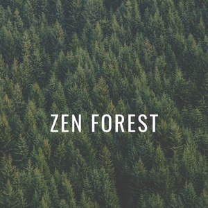 Zen Forest