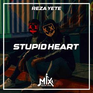 DJ Stupid Heart