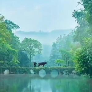 无已恋君时 (DJ长音频)封面