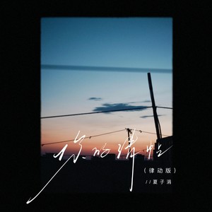 你的请帖 (律动版)
