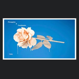 Pineapples & Trackhawks (Explicit)