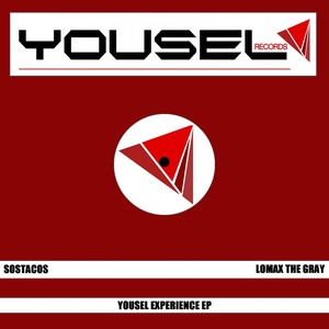 Yousel Experience