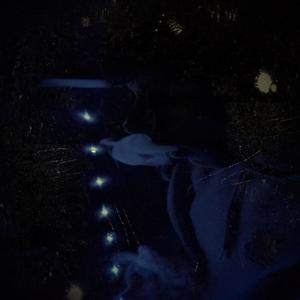 Crackjunkie (Explicit)