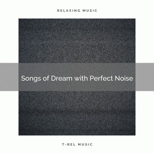 Songs of Dream with Perfect Noise