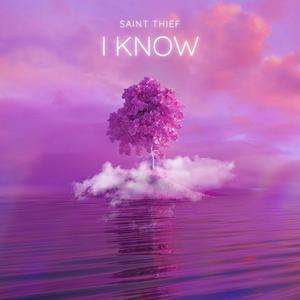 I Know (feat. Saint Thief) (Explicit)