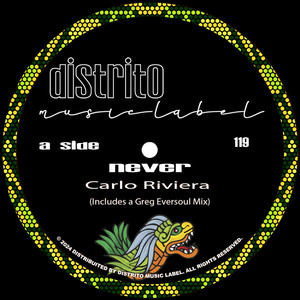 Never (Greg Eversoul Mix)
