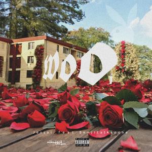 Woo (feat. benjitalkapone) [Explicit]