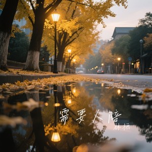 需要人陪 - 林栖封面