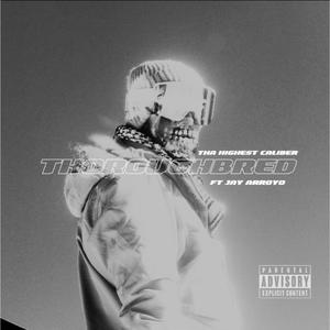 Thoroughbred (feat. Jay Arroyo) (Explicit)