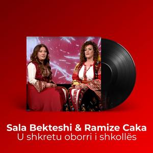 U shkretu oborri i shkollës