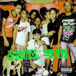 lleca (feat. Lilrayy123 & willy rose)