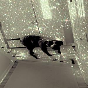 The Yellow Brick Road