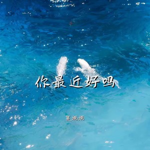 夏婉婉 - 你最近好吗