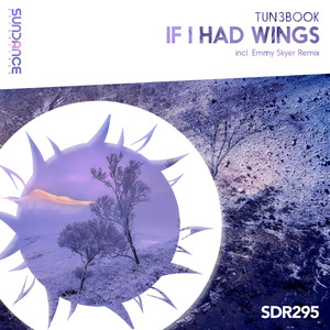 If I Had Wings