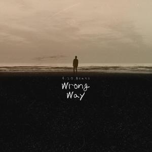 Wrong Way