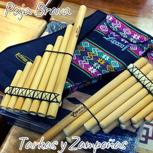 Tarkas Y Zampoñas