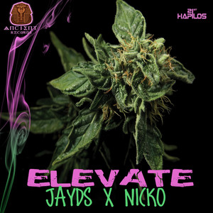 Elevate Riddim (Inst.)