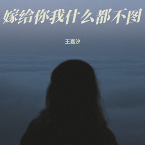 嫁给你我什么都不图 (心碎版)