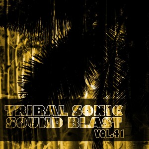 Tribal Sonic Soundblast,Vol.41 (Explicit)