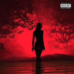 I Won't Forget (Explicit)