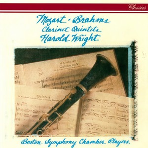 Clarinet Quintet In B Minor, Op. 115 - 1. Allegro