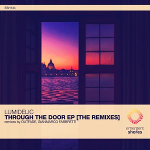 Through the Door (The Remixes)