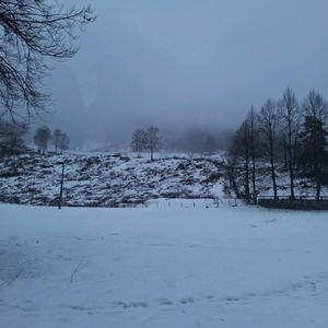 pior (feat. $AndreShawt) (Explicit)