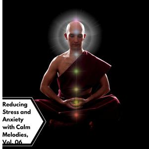 Reducing Stress And Anxiety With Calm Melodies, Vol. 06