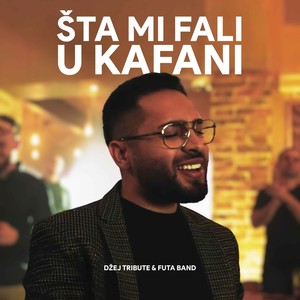 Sta mi fali u kafani