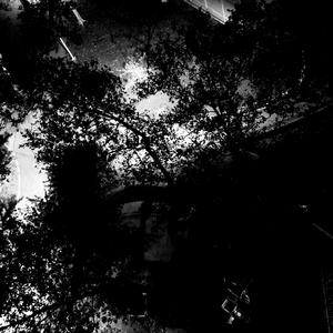 whøle nəw wªvė. (Explicit)