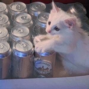 夜莺与玫瑰/Prod By ATTBeat