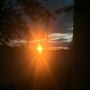 Gangsta Shawty (Explicit)