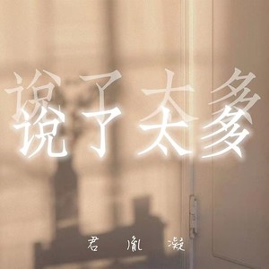 说了太多