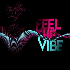 Feeling The Vibes (Explicit)