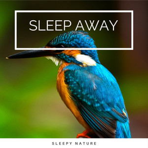 Pure Lands of Nature Noises for Dreams pt. 4(feat. White Noise Nature Sounds Baby Sleep, El Naturel & Deep Sleep Nature Sounds)