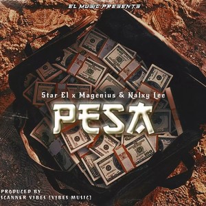 Pesa