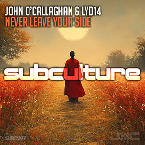 Never Leave Your Side (Extended Mix)