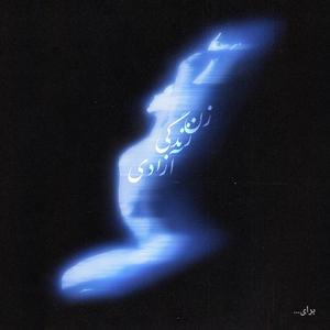 Baraye (feat. Shervin Hajipour) (Remix)