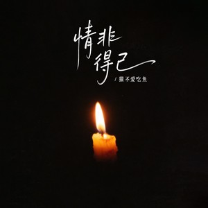 情非得已 (funk版)