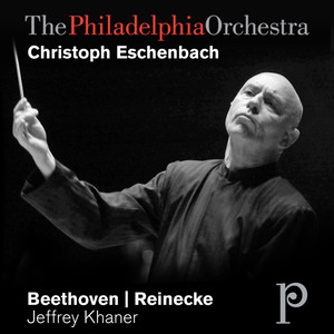 Flute Concerto in D Major, Op. 283 - I. Allegro molto moderato