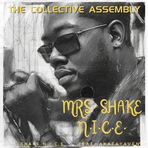 Mrs. ShakeN.I.C.E. (feat. Shake N.I.C.E. & AKAFAYAVEN)