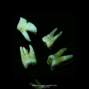 Tooth Fairy (Explicit)